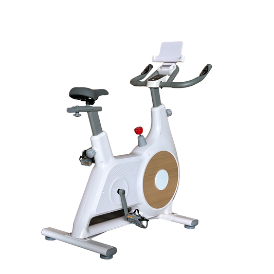 ВЕЛОТРЕНАЖЕР UB1